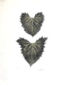 Ligularia Pair, Cat. 90