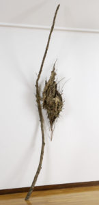 Chrysalis