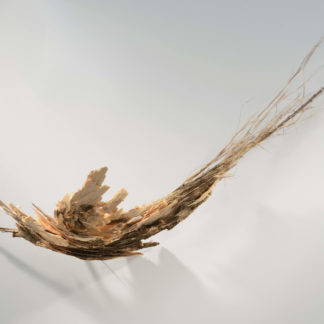Winds of Change
