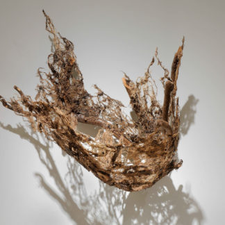 Vessels of Secrets Series: Runaway Secrets