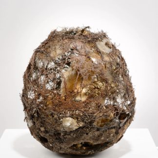 Vessels of Secrets Series: Fertile Secrets