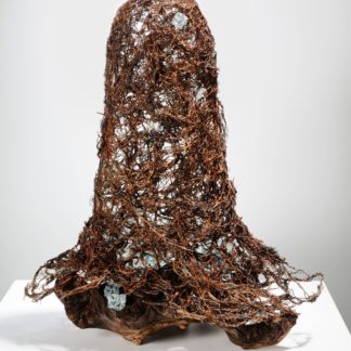 Vessels of Secrets Series: Under Wraps