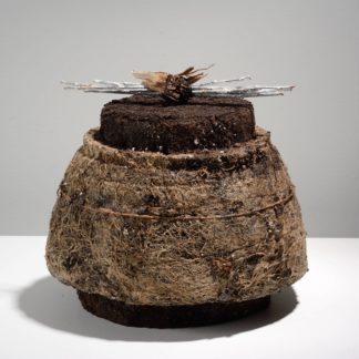 Vessels of Secrets Series: Gift