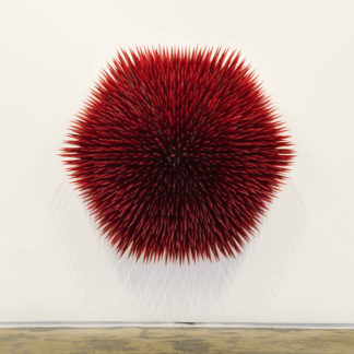 Wall Flower #2