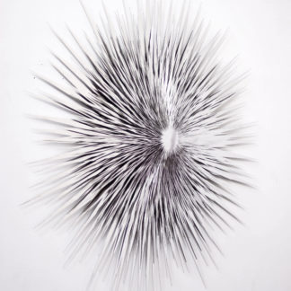 Silver Sun