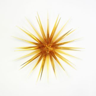 Amber Star