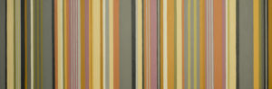 Yellow and Pink