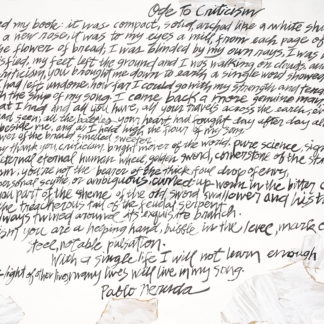 'The Ode to Criticism' by Pablo Neruda
