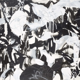 Symphony in Black and White