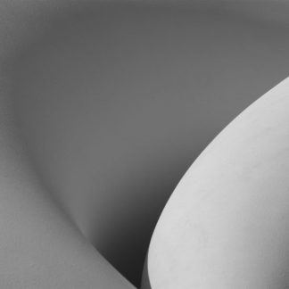 Twins 1