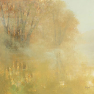 Cheshire Morning