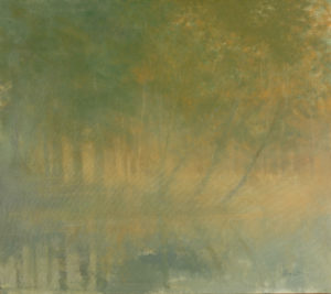 The Wooded Broadbrook