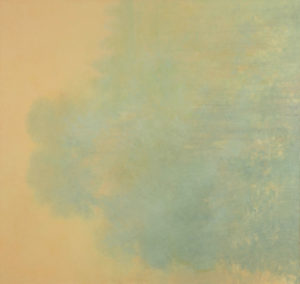 Shallows