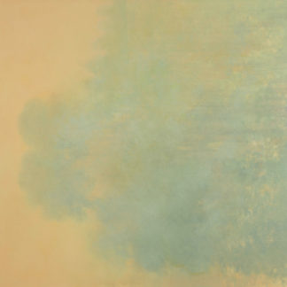Shallows