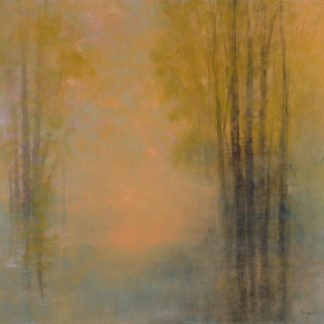 Stem Pond Morning