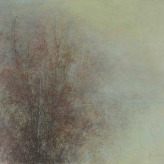 River Thickets