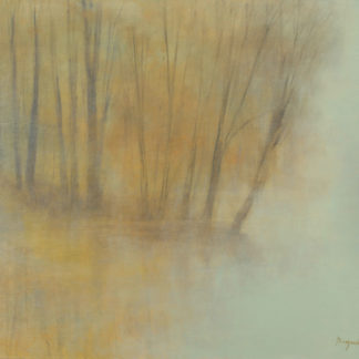 The Wetland Mist