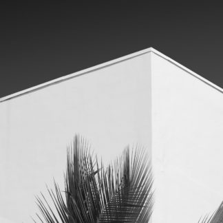 Miami 1