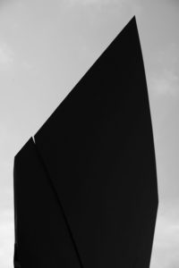 Wing 1