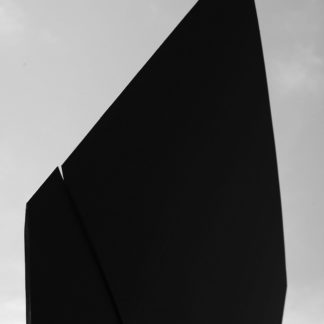 Wing 1