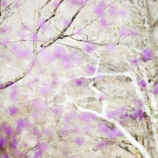 May 4, 2015_3:50:51