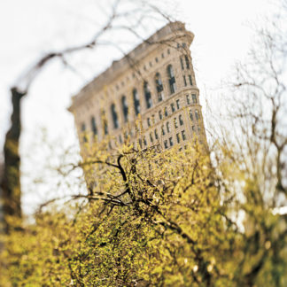 Flatiron [April 14, 1999]