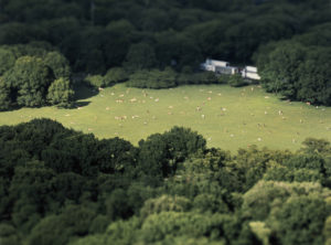 Sheep’s Meadow 2 [July 2, 2007]