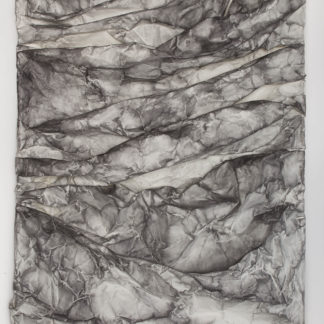 Raw Wrap 10