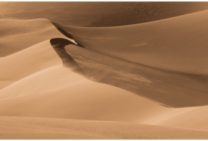 Dunes 8