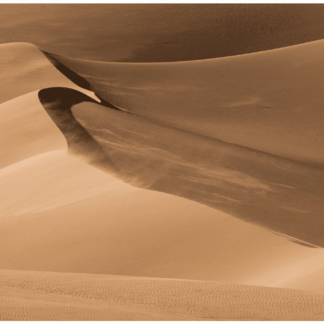 Dunes 8