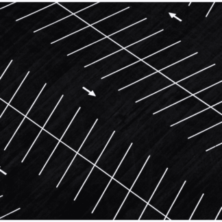 Going Series: Pathways and Containments