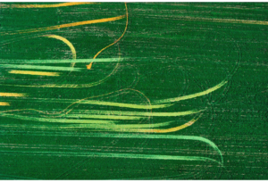 Growing Series: Rejected Tomato Tracks