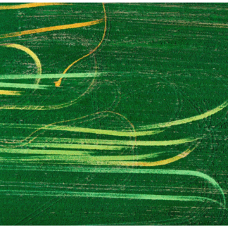 Growing Series: Rejected Tomato Tracks