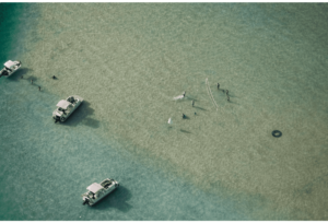 Sandbar Volleyball