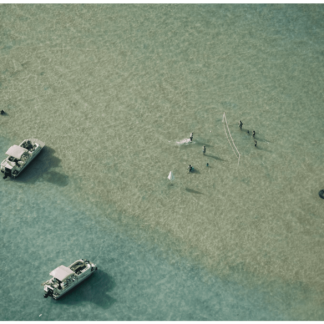 Sandbar Volleyball