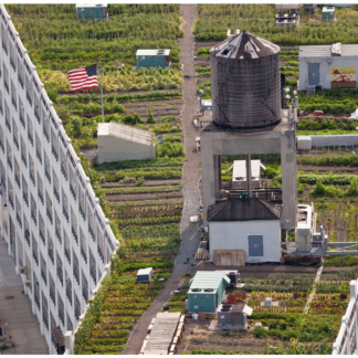 Growing Series: The Brooklyn Grange