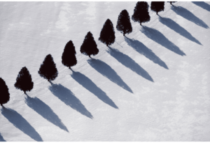 Tree Shadows in Snow, Middlebury, VT