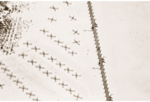 Wind Breaks on the Beach