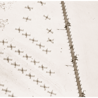 Wind Breaks on the Beach