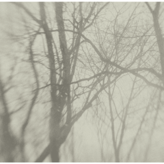 Snow 1