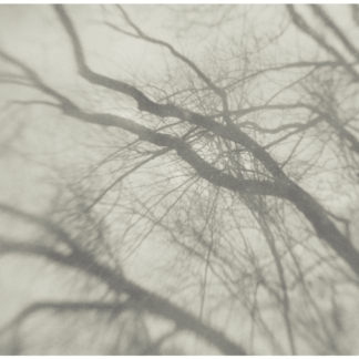 Snow 4