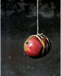 Fruit Torture No. 1
