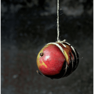 Fruit Torture No. 1