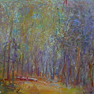 Forest Light