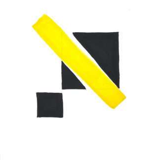 P013D