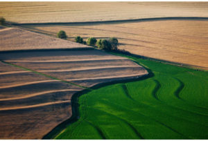 Growing Series: Field Convergence