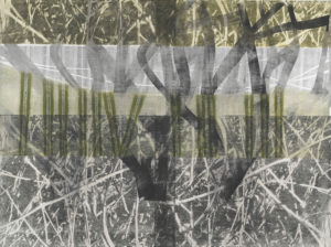 Branching Lines