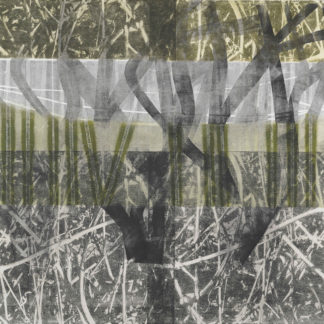 Branching Lines