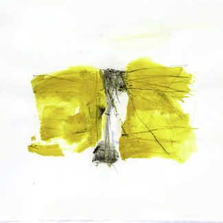 Dragonfly 2