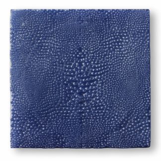 Blue Ostrich II
